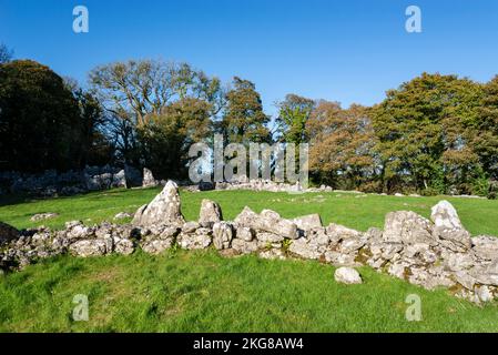 DIN Lligwy Steinsiedlung in der Nähe von Moelfre, Anglesey, Nordwales. Stockfoto