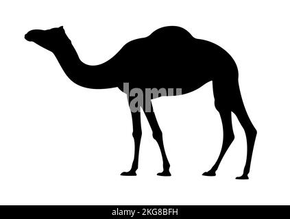 Eine einfache Vektordarstellung eines Kamels Stock Vektor