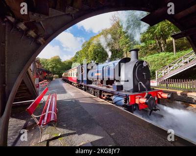 Das Bild zeigt die historische Dampfeisenbahn Lakeside und Haverthwaite, die zwischen dem Dorf Haverthwaite und Lakeside am Lake Windermer verkehrt Stockfoto