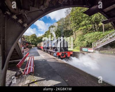 Das Bild zeigt die historische Dampfeisenbahn Lakeside und Haverthwaite, die zwischen dem Dorf Haverthwaite und Lakeside am Lake Windermer verkehrt Stockfoto