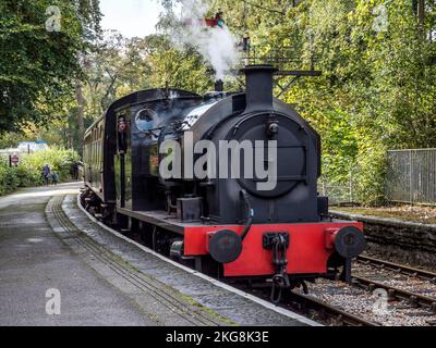 Das Bild zeigt die historische Dampfeisenbahn Lakeside und Haverthwaite, die zwischen dem Dorf Haverthwaite und Lakeside am Lake Windermer verkehrt Stockfoto