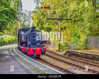 Das Bild zeigt die historische Dampfeisenbahn Lakeside und Haverthwaite, die zwischen dem Dorf Haverthwaite und Lakeside am Lake Windermer verkehrt Stockfoto