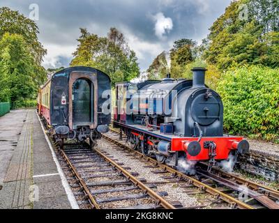 Das Bild zeigt die historische Dampfeisenbahn Lakeside und Haverthwaite, die zwischen dem Dorf Haverthwaite und Lakeside am Lake Windermer verkehrt Stockfoto