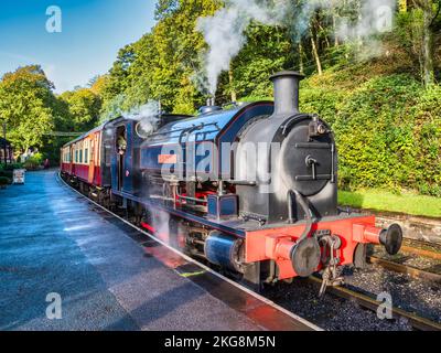 Das Bild zeigt die historische Dampfeisenbahn Lakeside und Haverthwaite, die zwischen dem Dorf Haverthwaite und Lakeside am Lake Windermer verkehrt Stockfoto