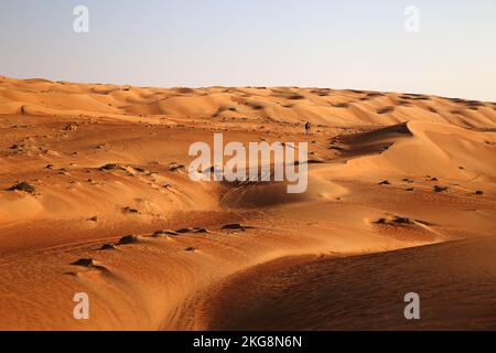 Wunderschöne Dünen von Wahiba Sands, Oman Stockfoto