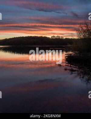 Ein Sonnenaufgang am Staunton Harold Reservoir an der Grenze zu Derbyshire Leicester in großbritannien, als die Blue Hour zur Golden Hour wurde. Stockfoto