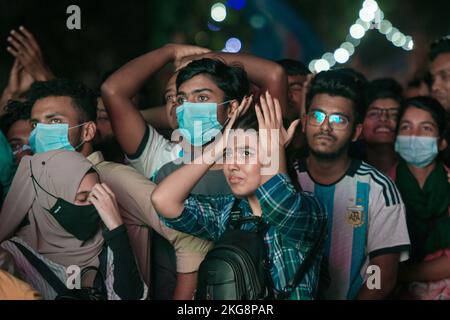 Fans feiern das Fußballspiel der FIFA-Weltmeisterschaft Stockfoto