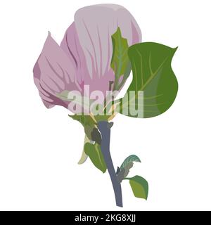 Schöne Magnolienbaumblume. Blühende Frühlingsmagnolie, Vektor-Illustration Stock Vektor