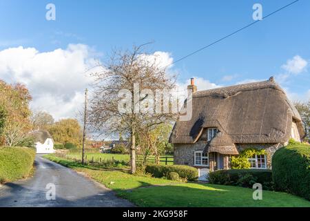 Traditionelles strohgedecktes Cottage an einer Landstraße durch das Dorf Tarrant Monkton, Dorset, England, Großbritannien, im Herbst oder Herbst. Stockfoto