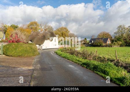 Traditionelles strohgedecktes Cottage an einer Landstraße durch das Dorf Tarrant Monkton, Dorset, England, Großbritannien, im Herbst oder Herbst. Stockfoto