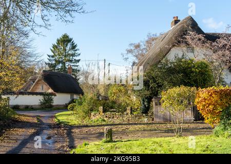 Hübsche strohgedeckte Hütten im Dorf Tarrant Monkton, Dorset, England, Großbritannien, im Herbst Stockfoto