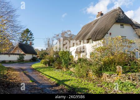 Hübsche strohgedeckte Hütten im Dorf Tarrant Monkton, Dorset, England, Großbritannien, im Herbst. Stockfoto