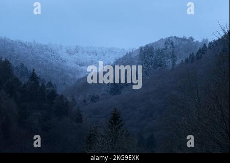 Schnee auf einem Hügel mit Bäumen bei Wolfstein an einem Wintertag in Deutschland. Stockfoto