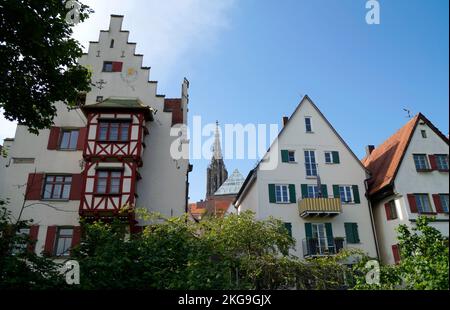 Malerischer Blick auf die Stadt Ulm mit ihrem berühmten gotischen Ulmer Münster oder Ulmer Münster und antiken Fachwerkhäusern an einem schönen Frühlingstag in Deutschland Stockfoto