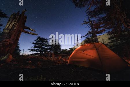 Zelten Sie unter Sternenhimmel unter Zedernbäumen, Tahtal Mountain Range Stockfoto