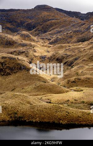 Vertikales Foto eines Wasserstroms, der einen Gletschersee im Cajas-Nationalpark im Hochland der Anden von Ecuador, den tropischen Anden, trifft. Stockfoto