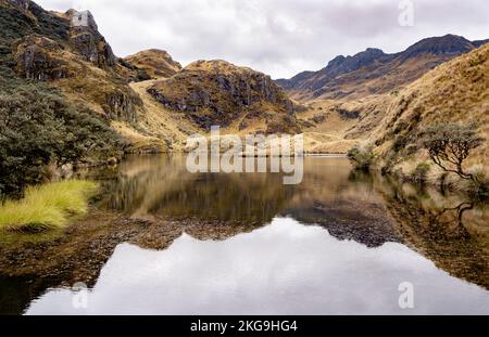 Berge und Pflanzen spiegeln sich an einem See im Cajas-Nationalpark im Hochland der Anden von Ecuador, den tropischen Anden. Stockfoto