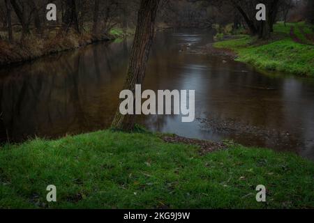 Zusammenfluss von Svratka und Loucka in der Nähe der Stadt Tisnov am dunklen Herbstabend Stockfoto