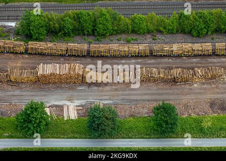 Luftaufnahme, Sägewerk Hüster, Holzverladestelle auf der Eisenbahnlinie im Ruhrtal, Wennemen, Meschede, Sauerland, Nordrhein-Westfalen, Deutschland, Bahn Stockfoto