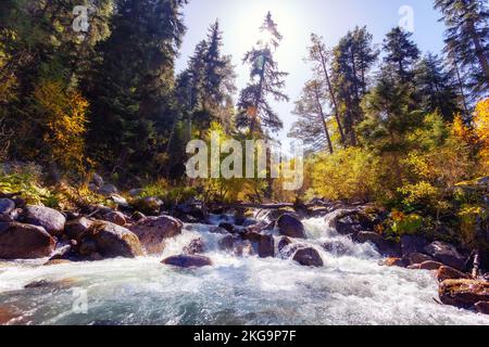 Herbstlandschaft mit Bäumen und Fluss, Kaukasusberge Stockfoto