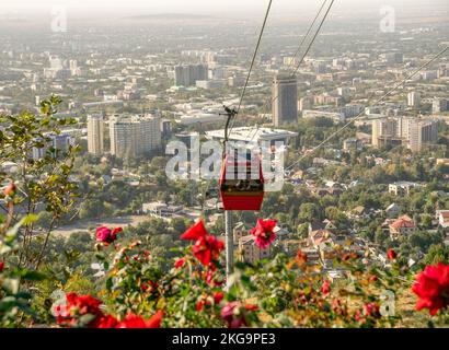 Draufsicht auf Almaty von Koktobe mit roten Blumen im Vordergrund. Kasachstan Stockfoto