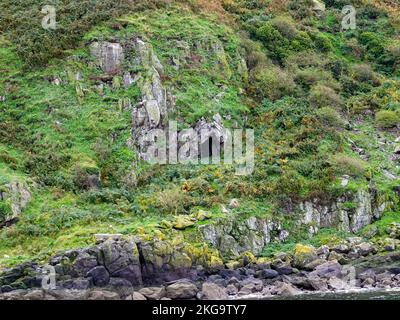 Höhlenöffnung auf der felsigen Seite der Insel Little Cumbrae im Firth of Clyde, Schottland, Großbritannien. Stockfoto