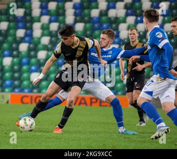 Windsor Park, Belfast, Nordirland, Großbritannien. 22. November 2022. Premiership der Danske Bank – Linfield / Larne. Action vom heutigen Spiel im Windsor Park (Linfield in Blau). Larnes Shaun Want wird von Robbie McDaid herausgefordert. . Kredit: CAZIMB/Alamy Live Nachrichten. Stockfoto