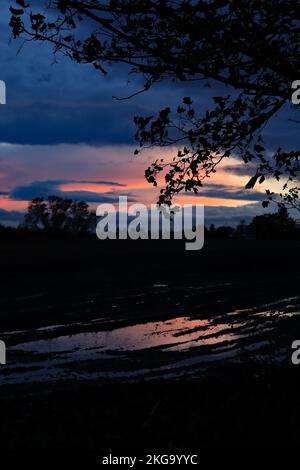 In der Abenddämmerung geht nach einem nassen Tag in West Lancashire die Sonne über einem Feld unter, wobei sich der violette Himmel in den Pfützen des stehenden Wassers spiegelt. Stockfoto
