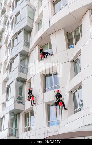 Fensterputzer reinigen die Glasfassade eines Wolkenkratzers, Arbeiten mit hohem Risiko durch das kraftwerk battersea am Prospect Place Stockfoto