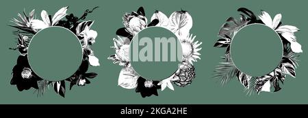 Grafiksatz mit tropischen Rahmen. Papageien. Realistische Darstellung tropischer Blumen und Blätter. Stockfoto