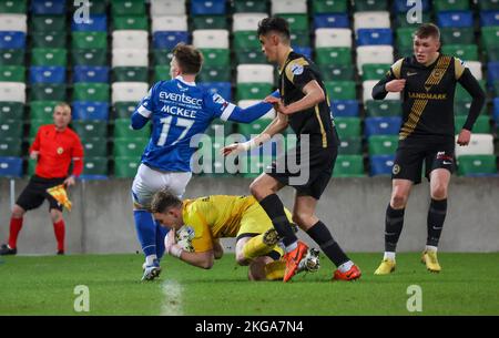 Windsor Park, Belfast, Nordirland, Großbritannien. 22. November 2022. Premiership der Danske Bank – Linfield / Larne. Action vom heutigen Spiel im Windsor Park (Linfield in Blau). Larne-Torhüter Rohan Ferguson sammelt den Ball. Kredit: CAZIMB/Alamy Live Nachrichten. Stockfoto