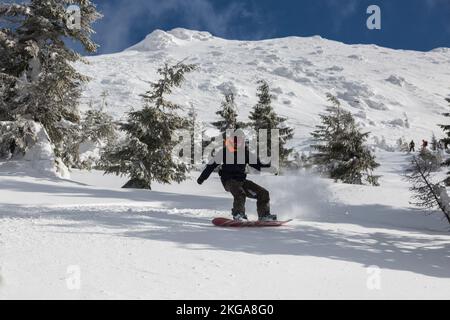 Marmarosy, die Karpaten, UKRAINE - FEBRUAR 22 2022: Ein aktiver Mann fährt auf einem Snowboard Freeriding auf einem schneebedeckten Hang in einem Berggebiet im Hinterland Stockfoto