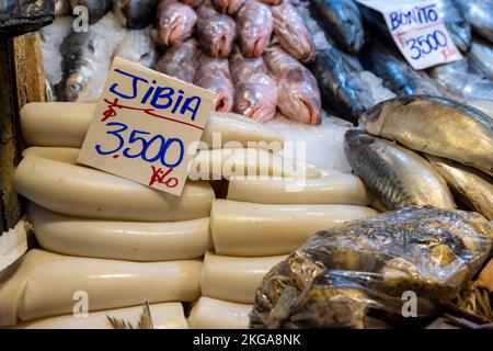 Auswahl an Fisch und Meeresfrüchten auf dem Central Market (Mercado Central) in Santiago de Chile Stockfoto