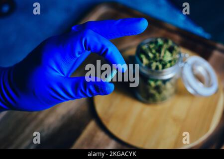 Marihuana-Zapfen in den Händen eines Arztes. Marihuana-Pillen cbd und thc. Medikamente in der Behandlung, Medizin Stockfoto