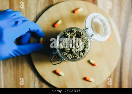 Marihuana in Medizin und Behandlung. Marihuana-Knospen in den Händen eines Arztes, eines Pillen-Wissenschaftlers. Blaue Handschuhe enthalten Drogen. Schlafen und Entspannen, Kopfschmerzen Stockfoto