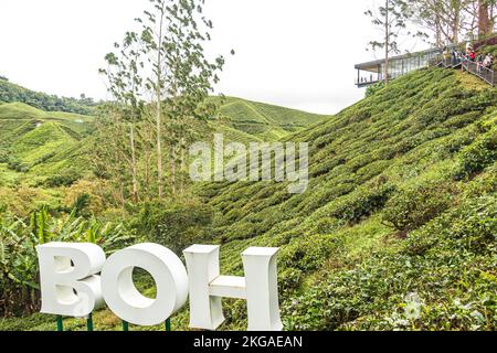 BOH Tea Centre in der Teeplantage Sungai Palas Tea Garden in Cameron Highland, Malaysia. Stockfoto