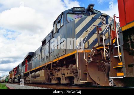 Hoffman Estates, Illinois, USA. Die Lokomotiven der Canadian National Railway fahren einen Güterzug durch den Nordosten von Illinois. Stockfoto