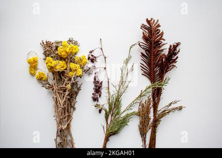 Ein Haufen getrockneter gelber Blumen und konserviertes Feldgras, isoliert auf weißem Hintergrund Stockfoto