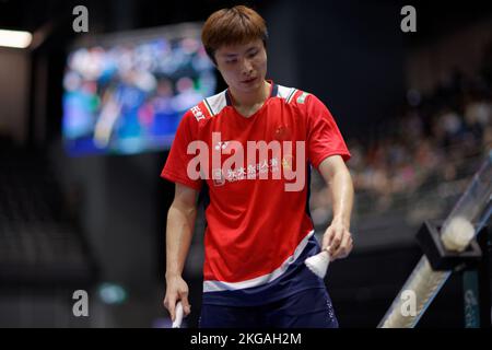 SYDNEY, AUSTRALIEN - NOVEMBER 19: Shi Yu Qi aus China in Aktion während des Halbfinalspiels der Männer im Singles zwischen Naraoka aus Japan und Shi aus China auf der Q Stockfoto