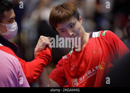 SYDNEY, AUSTRALIEN - NOVEMBER 19: Shi Yu Qi aus China feiert mit seinem Coach das Halbfinalspiel der Herren Singles zwischen Naraoka aus Japan Stockfoto