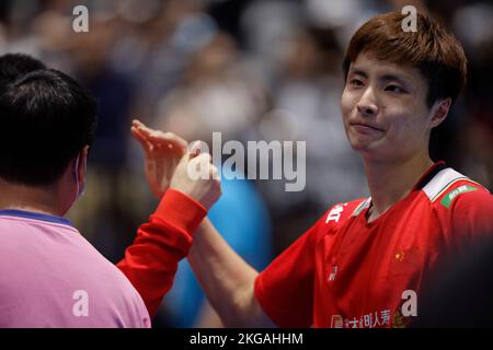 SYDNEY, AUSTRALIEN - NOVEMBER 19: Shi Yu Qi aus China feiert mit seinem Coach das Halbfinalspiel der Herren Singles zwischen Naraoka aus Japan Stockfoto