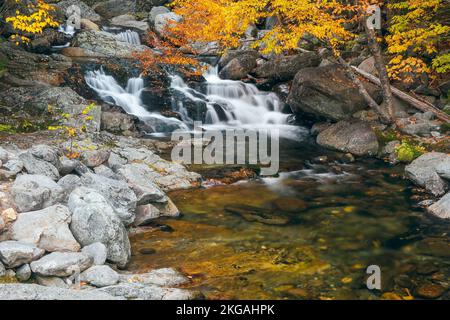 Kleine Wasserfälle direkt stromabwärts von Crystal Cascades auf dem Ellis River. Tuckerman Ravine Trail. Jackson. New Hampshire. USA Stockfoto