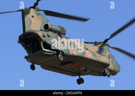 Präfektur Chiba, Japan - 10. Januar 2010: Japan Ground Self-Defense Force Boeing CH-47J Chinook Hubschrauber für schwere Nutzfahrzeuge. Stockfoto