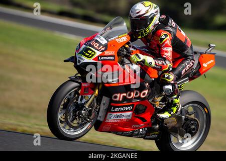 Phillip Island, Australien, 19. November 2022. Alvaro BAUTISTA von Spanien auf dem Rennen Aruba.it - Ducati Ducati Panigale V4R während der FIM Superbike-Weltmeisterschaft 2022 auf der Phillip Island Rennstrecke am 19. November 2022 in Phillip Island, Australien. Kredit: Dave Hewison/Speed Media/Alamy Live News Stockfoto