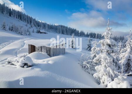 Weihnachtsfeken bedeckt mit frischem Schnee umgeben von einer wunderschönen Bergwiese mit kleinen Häusern und weißem Wintermärchen Stockfoto