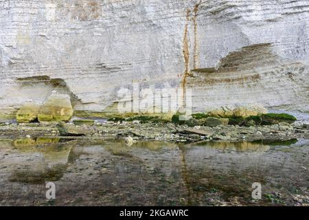 Reflexion von Kreidefelsen bei Ebbe am Strand, Etretat, Alabasterküste, La Côte d'Albâtre, Normandie, Departement Seine-Maritime, Haute-Normandi Stockfoto