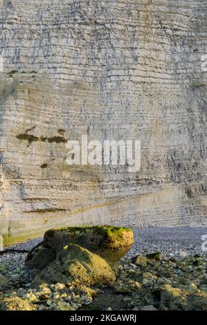 Kreidefelsen am Strand, Vattetot-sur-Mer, Alabasterküste, La Côte d'Albâtre, Normandie, Frankreich, Europa Stockfoto