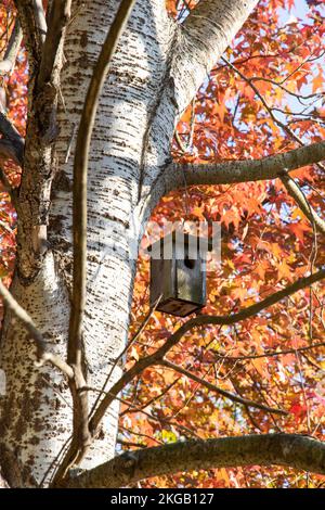 Hausgemachtes Vogelhaus aus Holz, das an einem Ast hängt Stockfoto