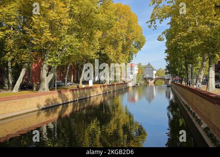 Fluss nahe mit Allee im Herbst und Blick auf Brückenhäuser, Fluss, Reflexion, Stimmung, Bad Kreuznach, Rheinland-Pfalz, Deutschland, Europa Stockfoto