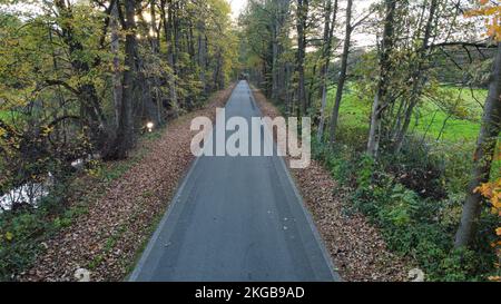 Eine Drohne von einer Asphaltstraße mit hohen Bäumen und sonnigem blauen Himmel mit grünen Feldern Stockfoto